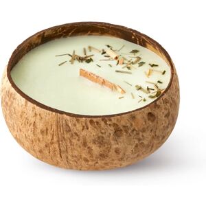 Tropicandle Lemongrass & Ginger scented candle with wooden wick 350 ml