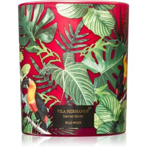 Vila Hermanos Jungletopia Wild Musk scented candle 200 g