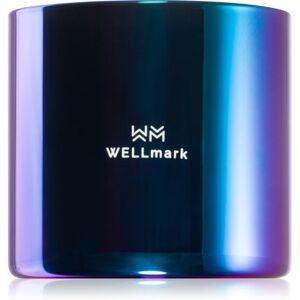 Wellmark Better Silk scented candle 1 pc