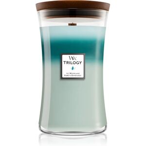 Woodwick Icy Woodland scented candle with wooden wick 609,5 g