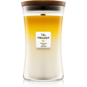 Woodwick Trilogy Fruits of Summer scented candle with wooden wick 609,5 g