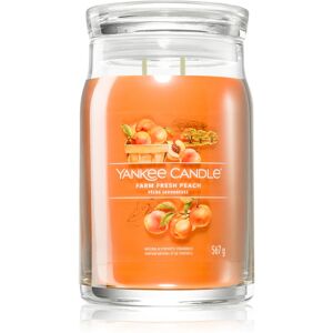 Yankee Candle Farm Fresh Peach scented candle Signature 567 g