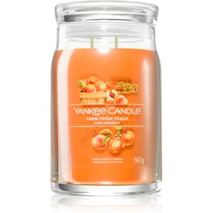 Yankee Candle Farm Fresh Peach scented candle Signature 567 g