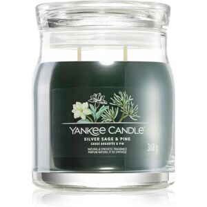 Yankee Candle Silver Sage & Pine scented candle Signature 368 g