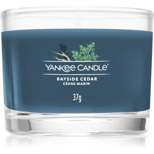 Yankee Candle Bayside Cedar votive candle 37 g