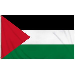 Summerlee Large 5x3ft Palestine Flag with Brass Eyelets