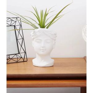 Joy Medium Venus Head Planter In White White Female