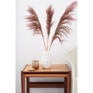 Joy 3 Stems of Blush Pink Pampas Grass red Unisex