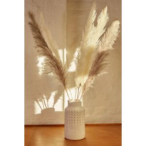 Joy 6 Stems Of Natural and Mink Pampas Grass Mink Unisex