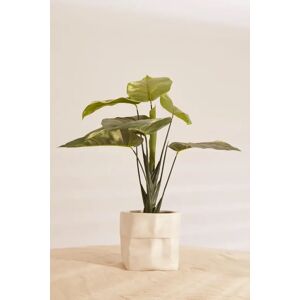 Joy Large White Ceramic Paper Bag Planter White Unisex