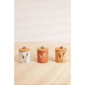 Joy Set Of 3 Pampas Grass Candles Female