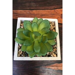 Joy Set Of 3 Faux Potted Succulents Female