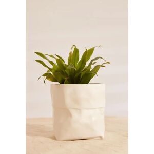 Joy Small White Ceramic Paper Bag Planter White Unisex