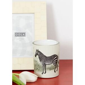 Joy African Clove Scented Zebra Candle Unisex