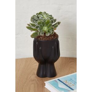 Joy Hand Planter Black Black Female