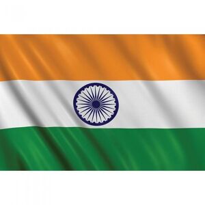 Amscan Indian Flag
