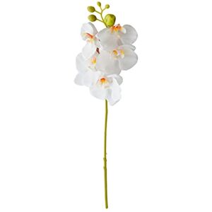 floatofly Decor Artificial Flowers,Beautiful Fake Flower Phalaenopsis Non-fading DIY Fresh-Keeping Beautifying Orchid Home Decor for Home Garden Office Party Wedding White One Size