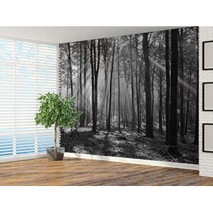 vgoltd Morning in old beech forest black and white photo Wallpaper wall mural(11282679) (130gsm budget, xl 190cm wide x 148cm high)