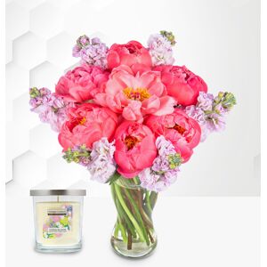 Prestige Flowers Paradise Peonies with Candle