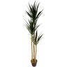 Leaf Artificial Tree in Pot 170.0 H x 40.0 W x 40.0 D cm