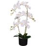 Leaf 65cm Artificial Luxury Artificial Orchid - 3 Stems - Soft White Plant