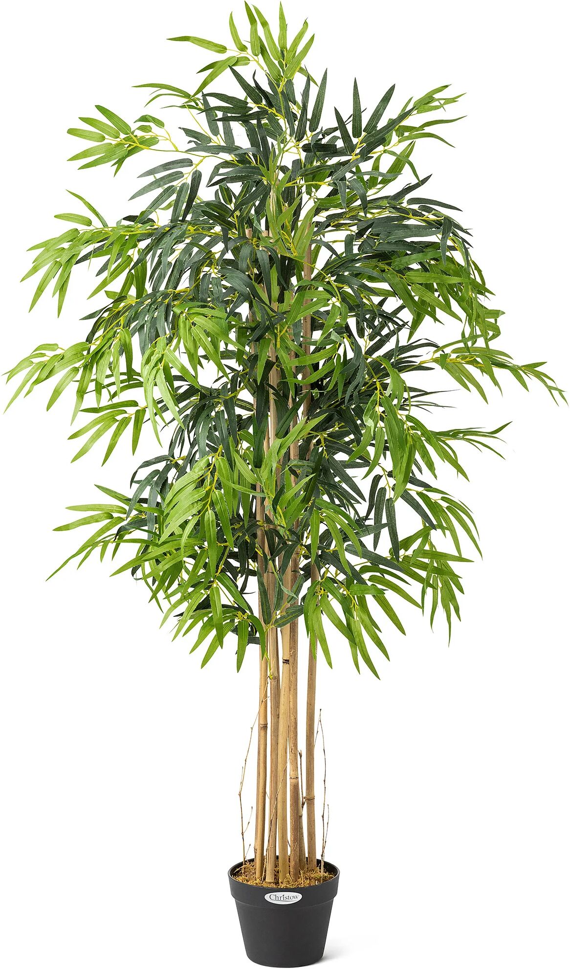 Christow Artificial Bamboo Plant - 5ft - Multi Coloured