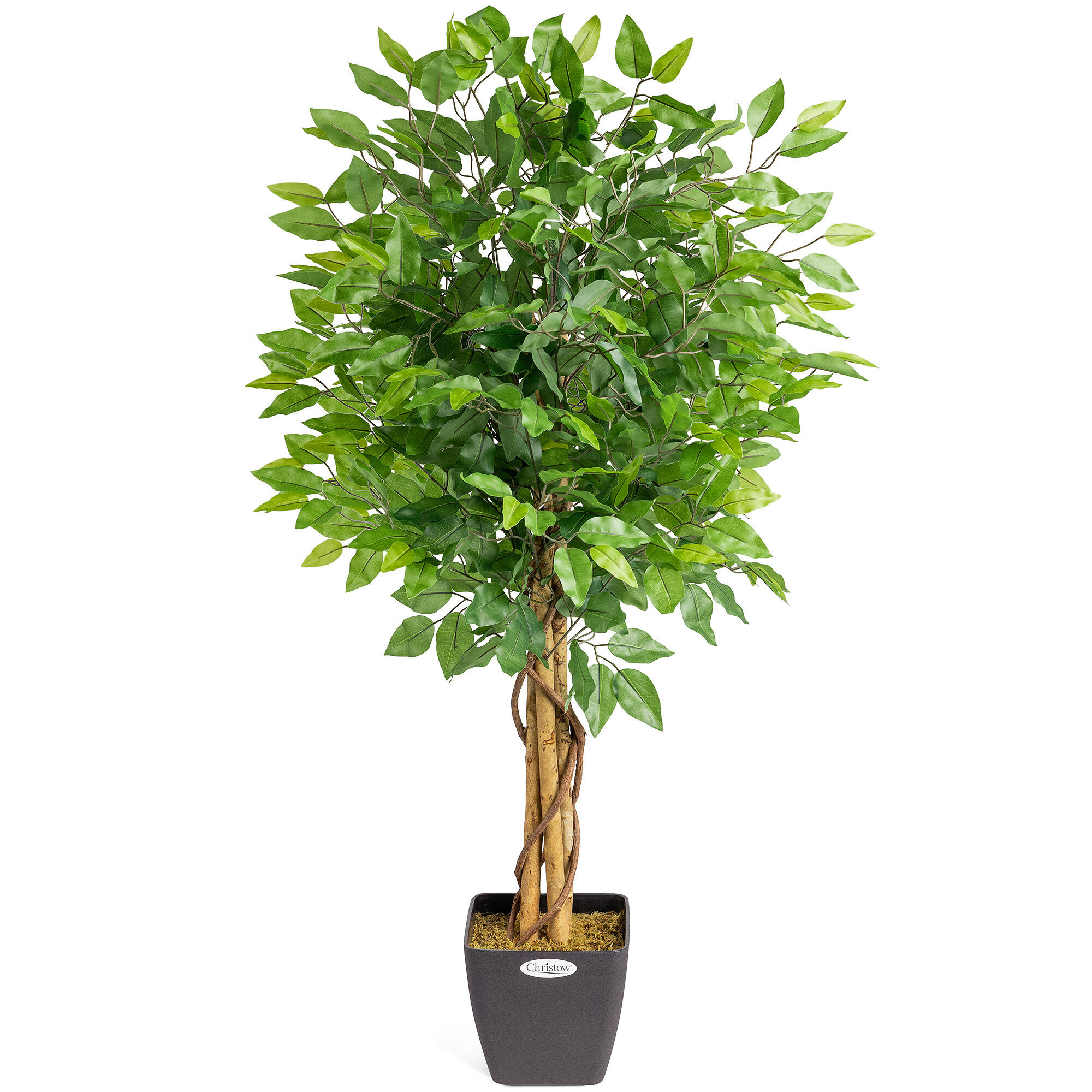 Christow Artificial Green Ficus Tree - Green