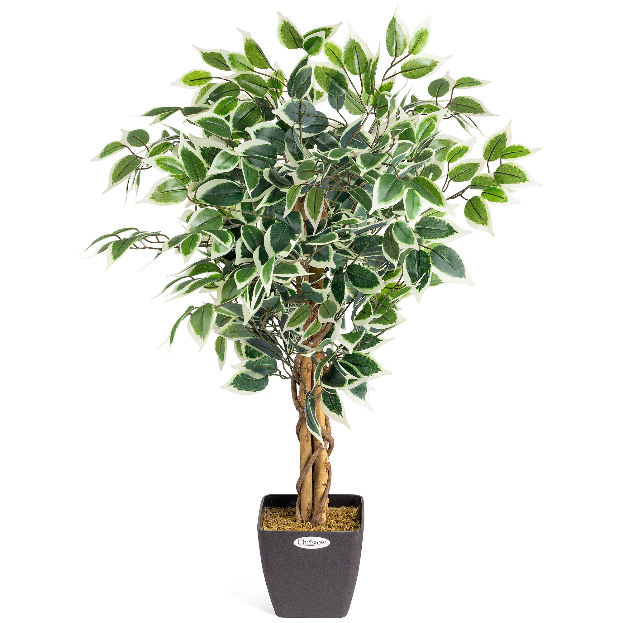 Christow Artificial Variegated Ficus Tree - Green