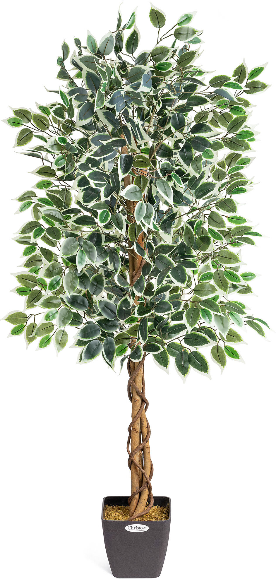 Christow Artificial Variegated Ficus Tree - Green