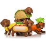 The Hamilton Collection Bone Appetit Hand-Painted Dachshund Figurine Collection