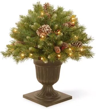 National Tree Company 24-in. Pre-Lit Frosted Artificial Pine Bush Plant, Green