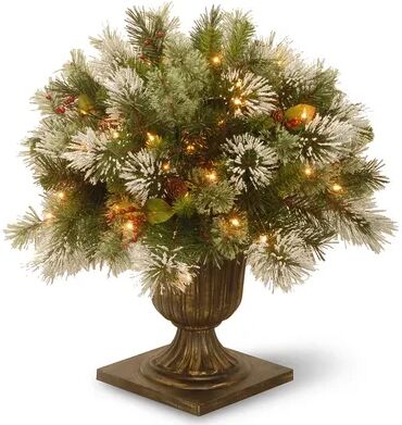 National Tree Company 24-in. Pre-Lit Artificial Wintry Pine Bush Plant, Green