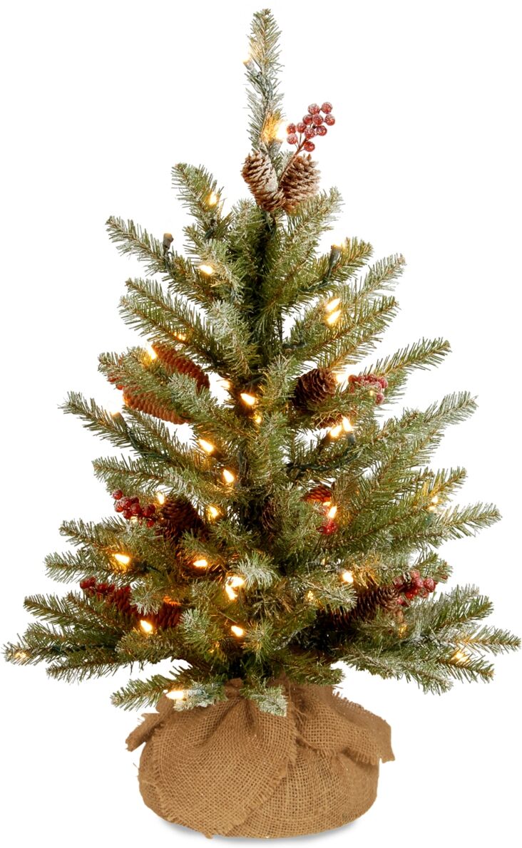 National Tree Company 2' Dunhill Fir Tree with 15 Warm White Battery Operated Led Lights - Green