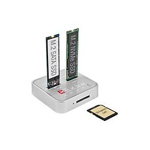 Delock - SSD-Dockingstation Schächte: 2 - M.2 - M.2 NVMe Card - USB 3.2 (Gen 2) - Silber