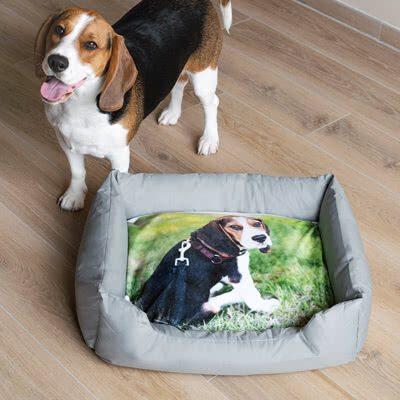 smartphoto Tierbett personalisiert (65x55cm. Kissenbezug einseitig bedruckt. für Hunde & Katzen)