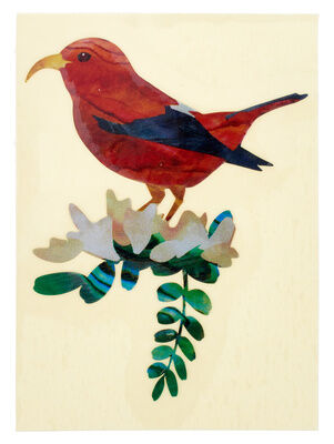 Jockomo Hawaiian Honeycreeper Bird