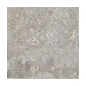 Euro Stone Bodenfliese Feinsteinzeug Camarque 60 x 60 cm grau