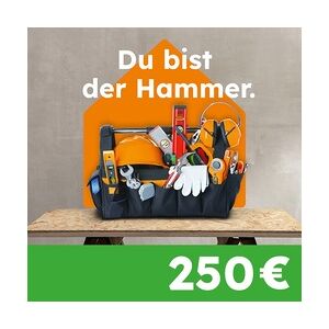 Globus Baumarkt Geschenkgutschein 250 EUR Geschenkkarte per E-Mail