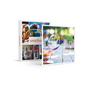 Smartbox - Coffret Cadeau Initiation à l'onologie et dégustation à domicile pour 6 personnes-Gastronomie - Publicité