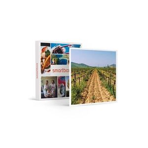 Smartbox Coffret Cadeau - Visite du vignoble de la Bastide des oliviers et de sa cave avec dégustation pour 2- Gastronomie - Publicité