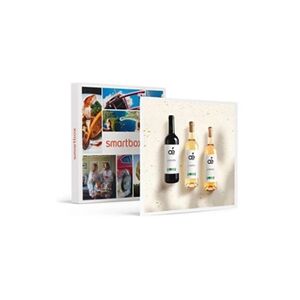 Smartbox Coffret Cadeau - Coffret de 3 bouteilles de vin bio livrées à domicile- Gastronomie - Publicité