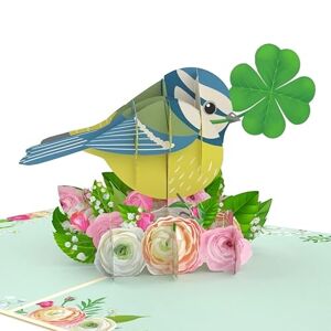 MOKIO ® Carte Pop-Up – Oiseau avec Trèfle et Fleurs – Carte Cadeau 3D pour un Anniversaire, un Examen ou une Récupération, Carte de Vœux Bonne Chance avec Trèfle Porte-Bonheur - Publicité
