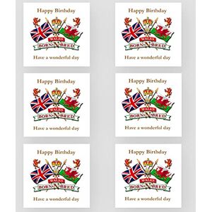 Marvello Lot de 6 cartes d'anniversaire Pays de Galles Born and Bred Enveloppes de qualité supérieure incluses Un motif Intérieur vierge Pour lui/elle, maman, papa, grand-mère, grand-père - Publicité