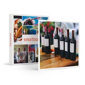 SMARTBOX - Coffret Cadeau Dégustation privée de vins et fromages de 2h à Paris avec un grand sommelier-Gastronomie - Publicité