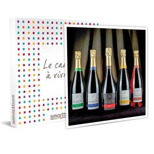 Coffret Cadeau SMARTBOX - Dégustation de champagne et visite de domaine dans la Marne- Gastronomie - Publicité