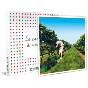 SMARTBOX - Coffret Cadeau À la découverte de nos vignobles-Gastronomie - Publicité