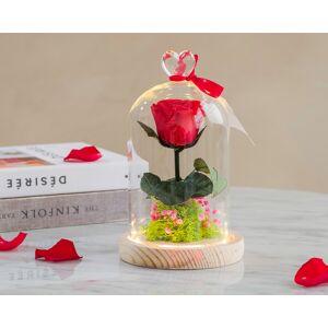 Cadeaux.com Rose éternelle sous cloche lumineuse avec carte personnalisée