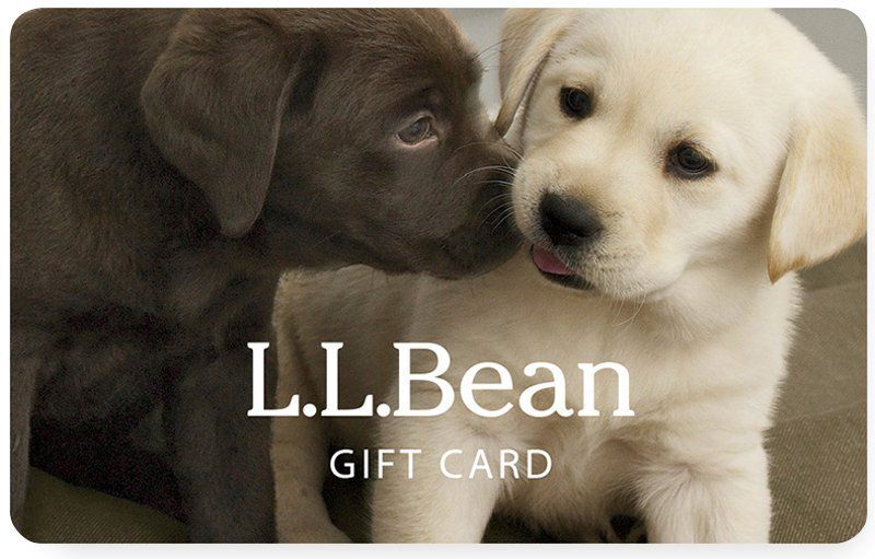 E-Gift Card Lab Puppies L.L.Bean