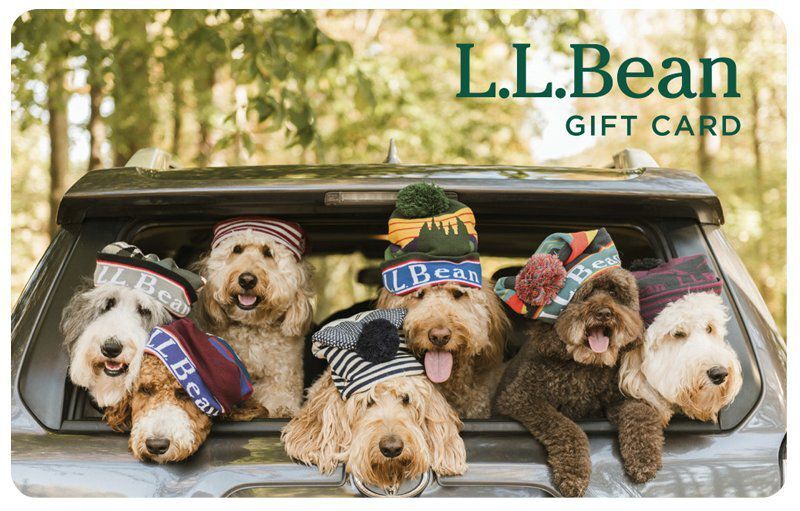 E-Gift Card Puppies in Hats L.L.Bean