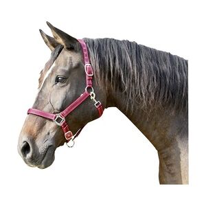 Kerbl Pferde-Halfter Mustang Gr. 1 rot schwarz